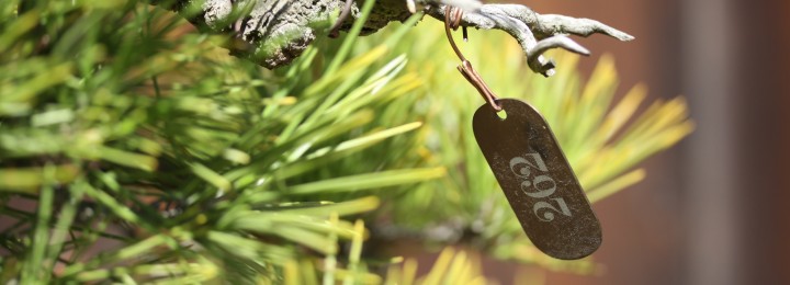 A Conversation with John Boyce A Conversation with John Boyce